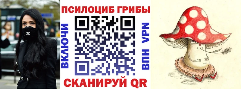 наркотики  Анжеро-Судженск  Псилоцибиновые грибы мицелий 