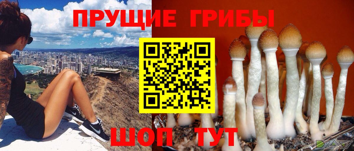Псилоцибиновые грибы Magic Shrooms  Вход с VPN  где купить наркотик  Анжеро-Судженск 